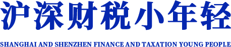 小年轻财务监理（上海）有限公司